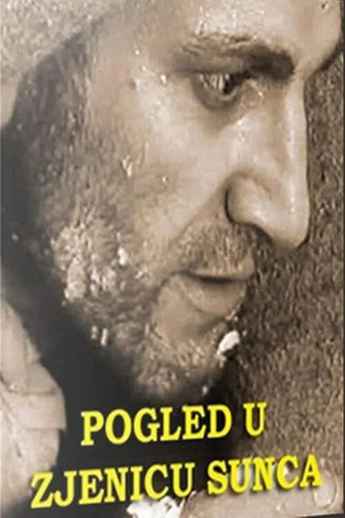 Pogled u zjenicu sunca постер