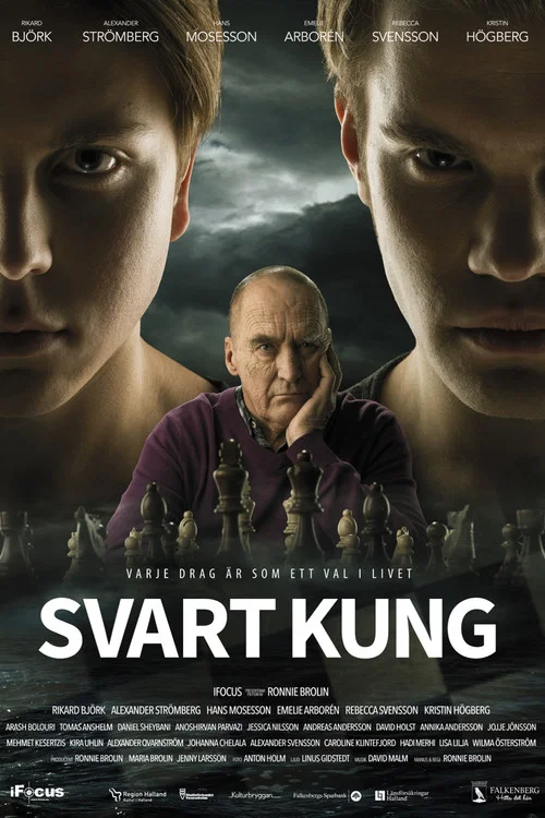 Svart kung постер