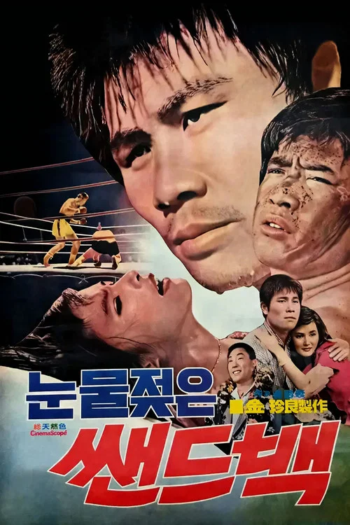 눈물 젖은 샌드백 постер