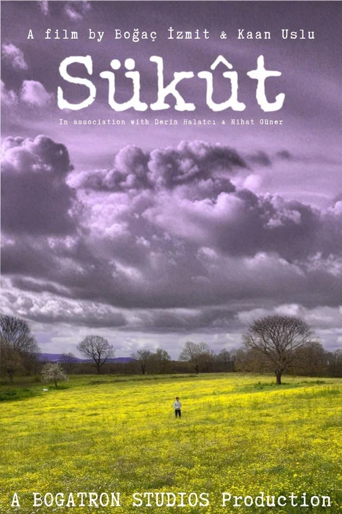 Sükût постер
