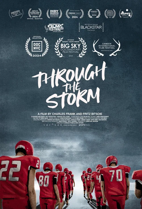 Through the Storm постер