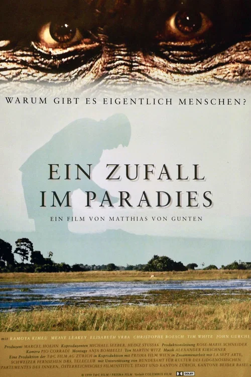 Ein Zufall im Paradies постер