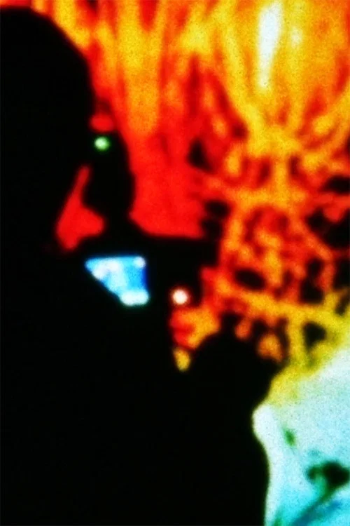Rhizomatic Directed Simulation постер