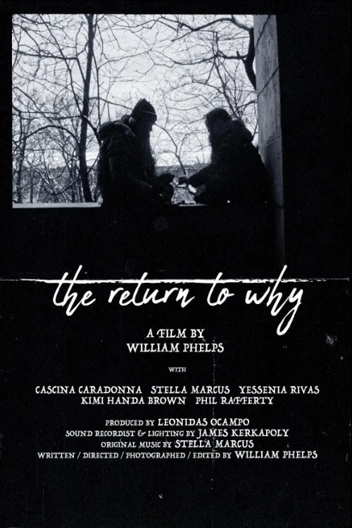 The Return to Why постер