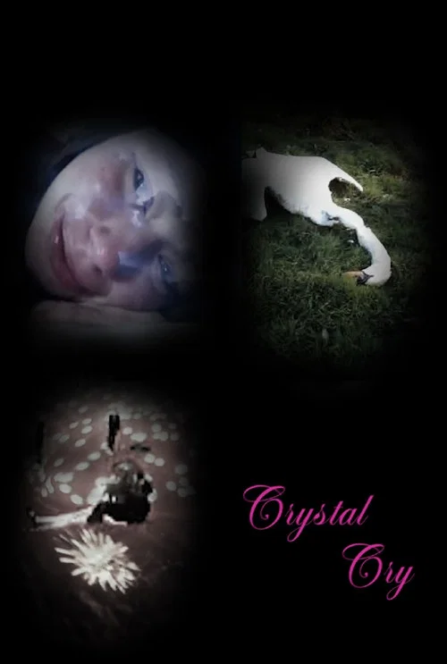 Crystal Cry постер