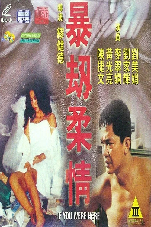 暴劫柔情 постер