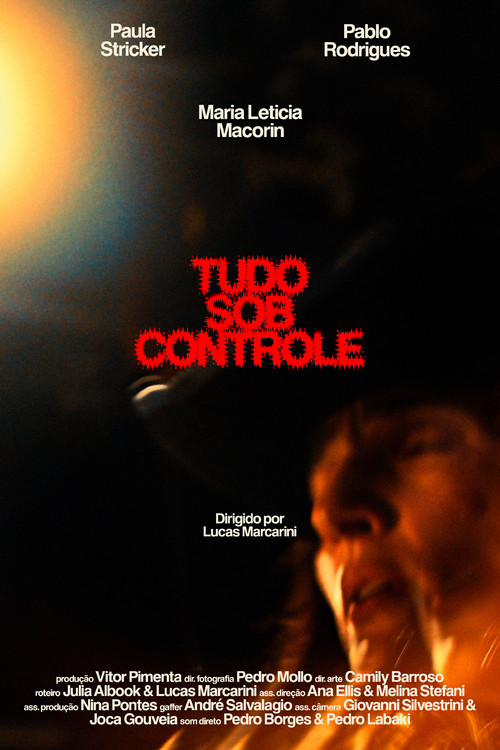 Tudo Sob Controle постер