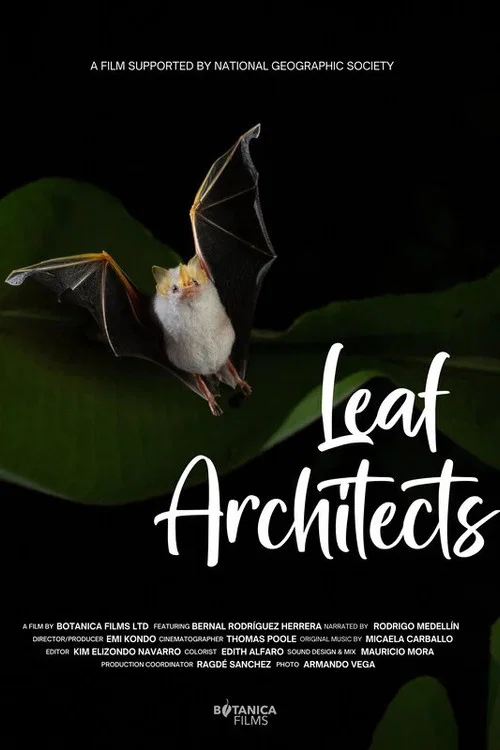 Leaf Architects постер