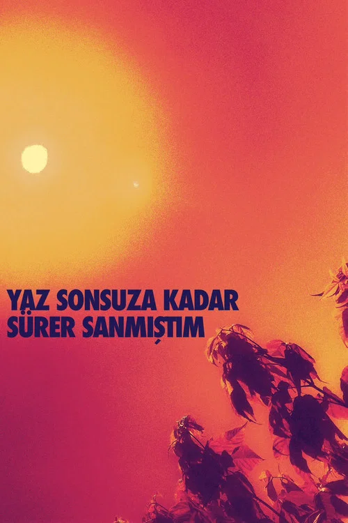 Yaz Sonsuza Kadar Sürer Sanmıştım постер