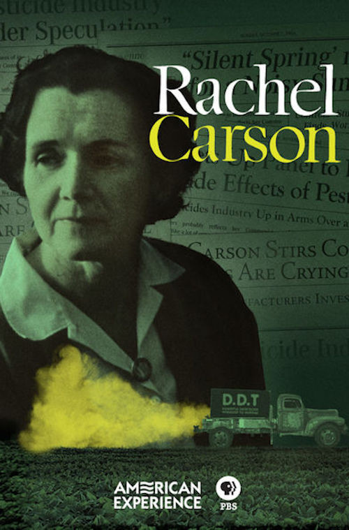 Rachel Carson постер