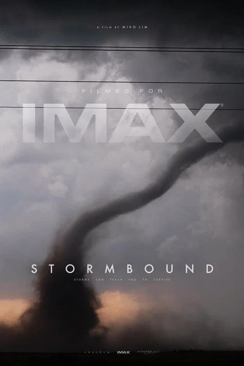 Stormbound постер