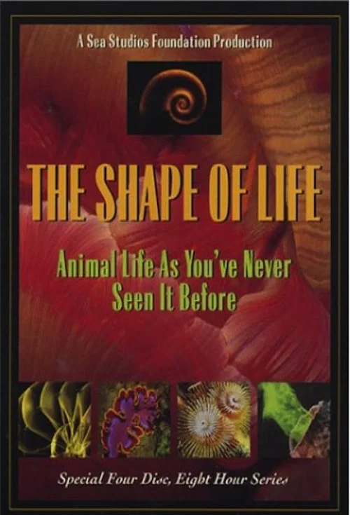The Shape of Life постер