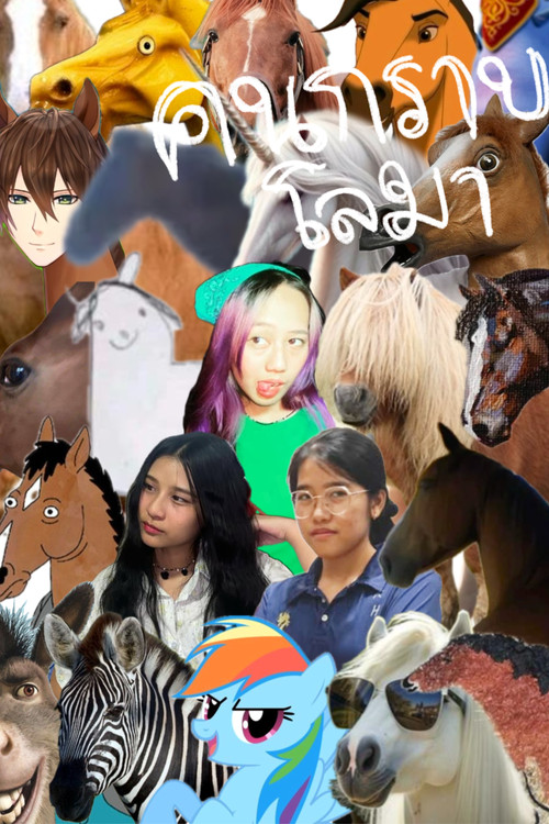 คนกราบโลมา постер