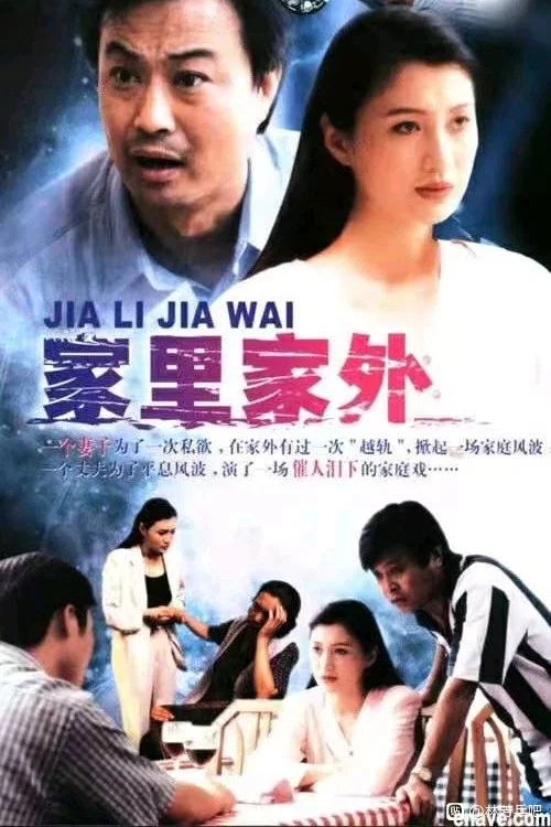 家里家外 постер