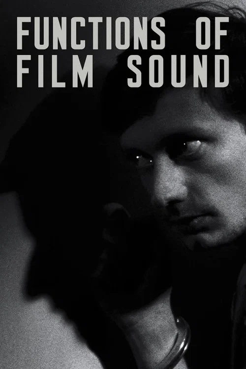 Functions of Film Sound постер