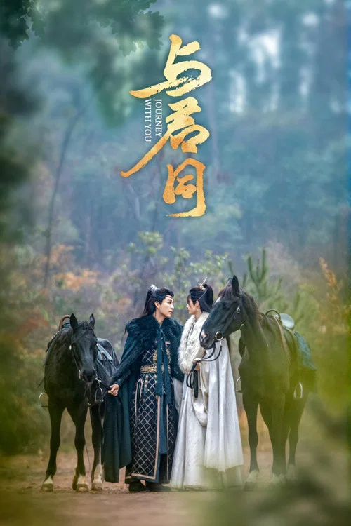 与君同 постер