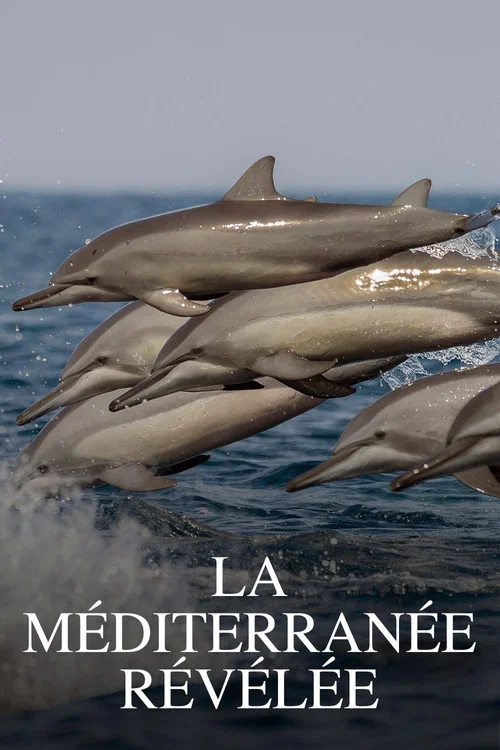La Méditerranée révélée постер