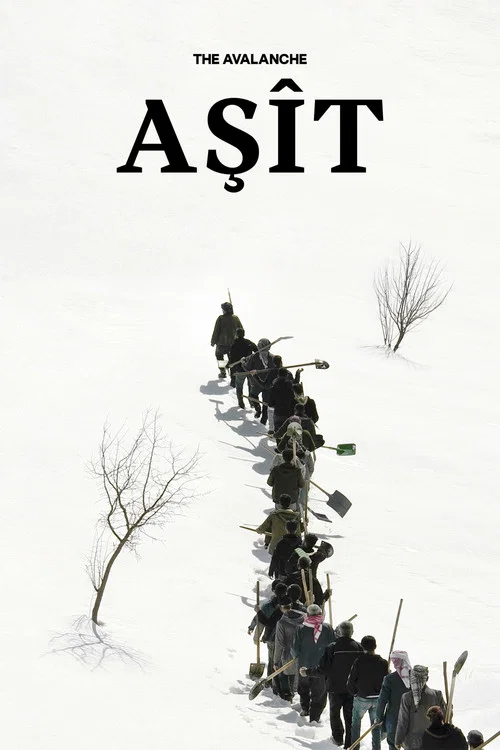 Aşît постер