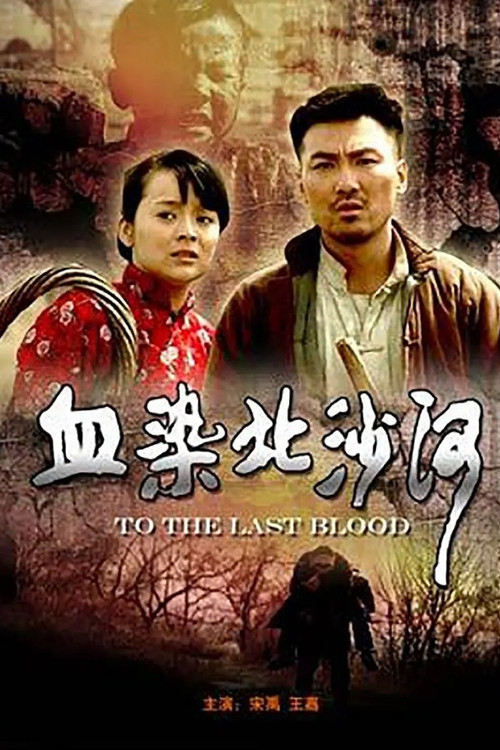 血染北沙河 постер