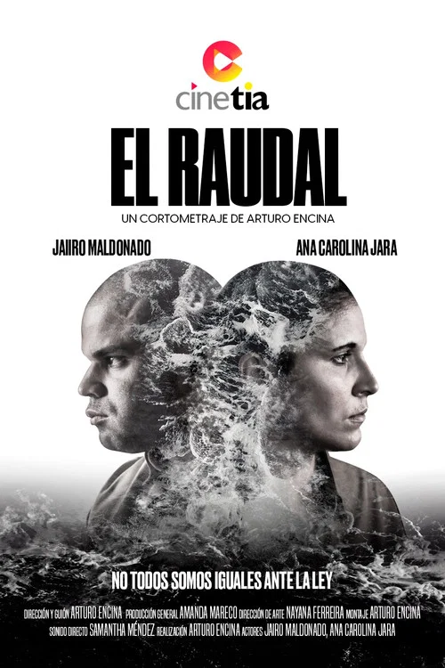 El raudal постер