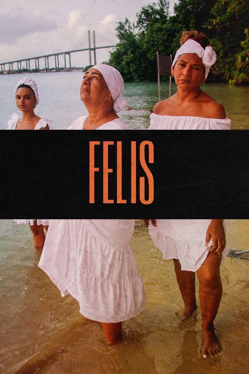Felis постер