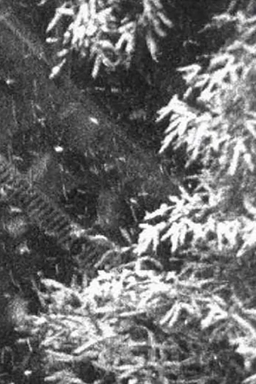 Schneefall постер