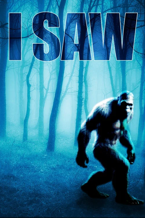 I SAW постер