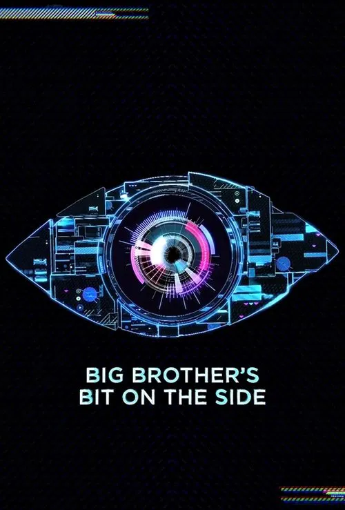 Big Brother's Bit on the Side постер