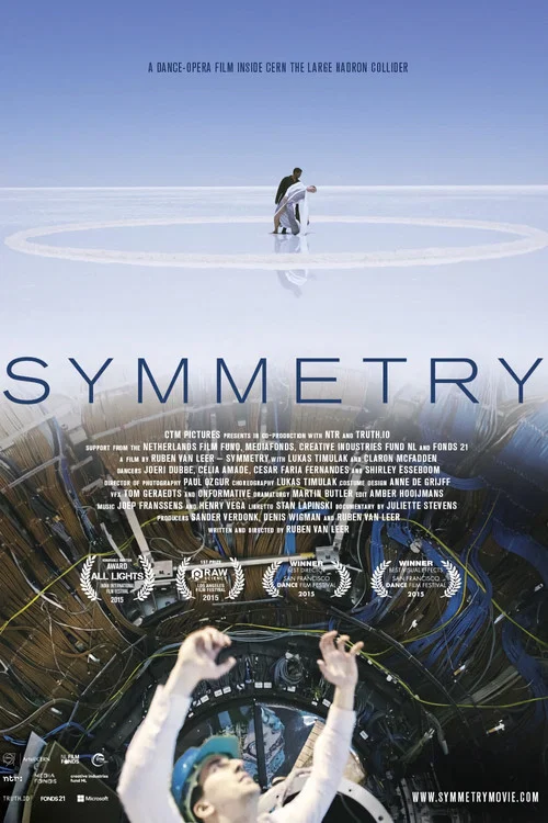 Symmetry постер