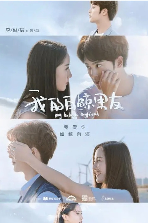 我的白鲸男友 постер