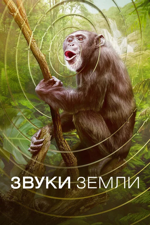 Звуки Земли постер