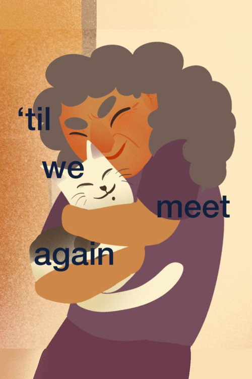 'til we meet again постер