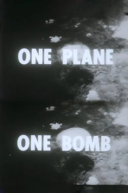 One Plane, One Bomb постер
