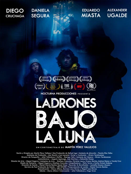 LADRONES BAJO LA LUNA постер
