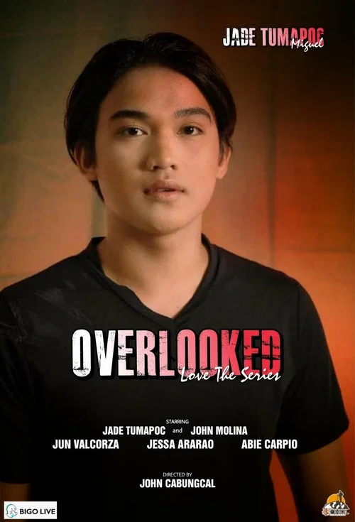 Overlooked Love the Series постер