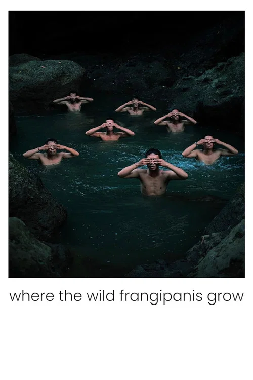 Where the Wild Frangipanis Grow постер