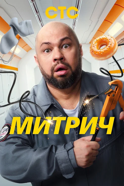 Митрич постер