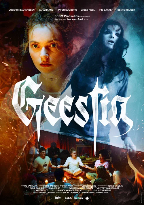Geestig постер