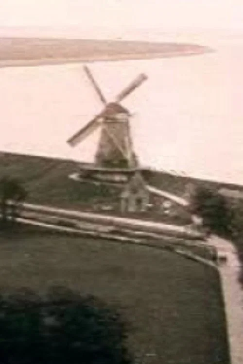 Medemblik постер