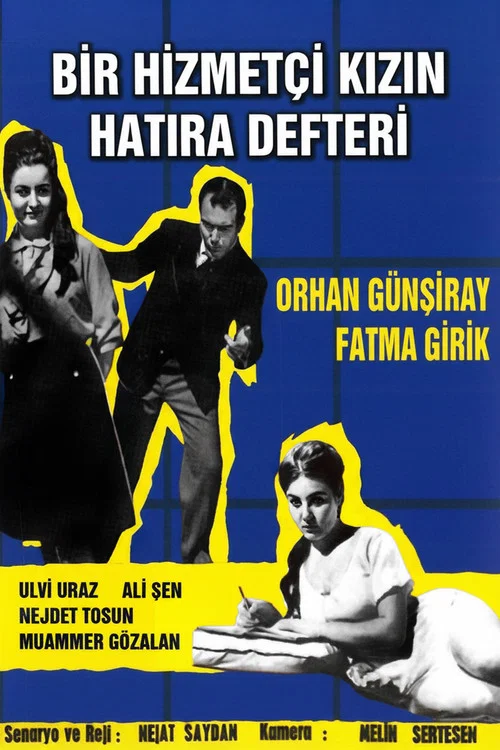 Bir Hizmetçi Kızın Hatıra Defteri постер
