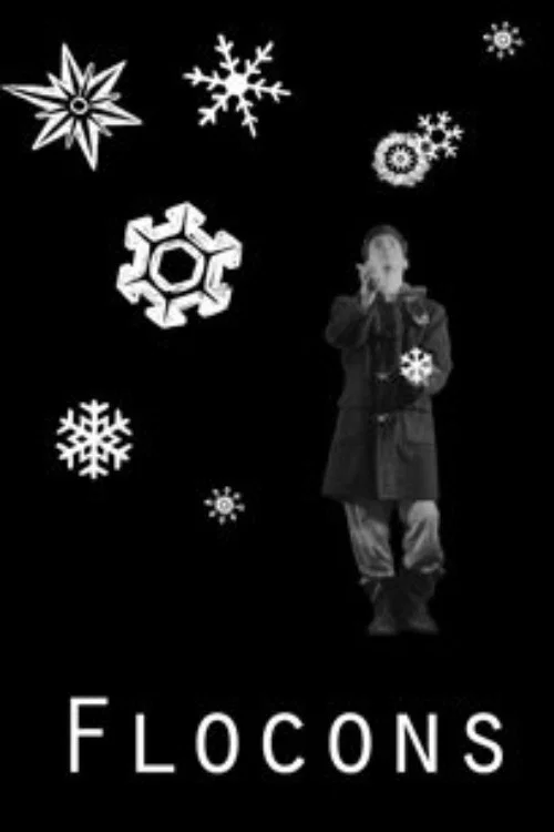 Flocons постер