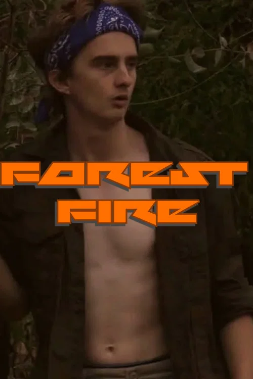 Forest Fire постер
