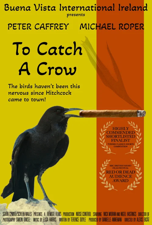 To Catch a Crow постер