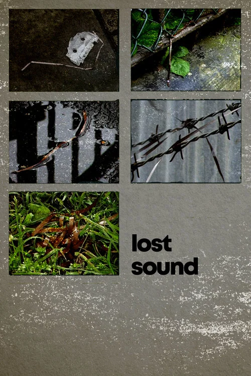 Lost Sound постер