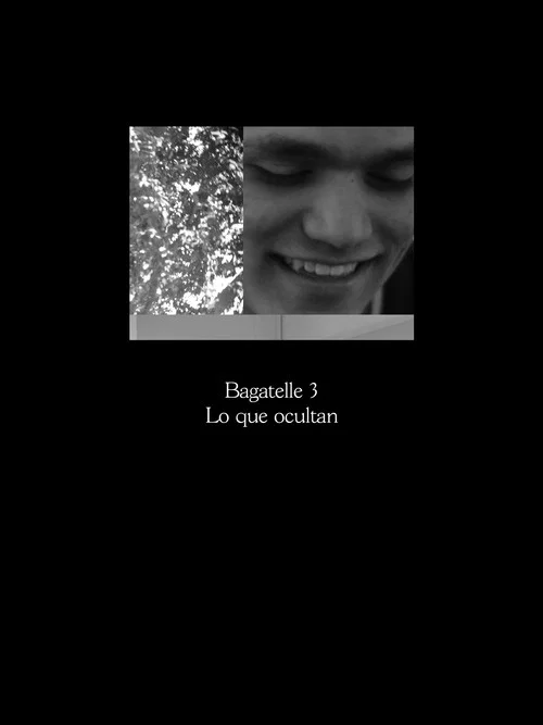 Bagatelle 3: Lo que ocultan постер