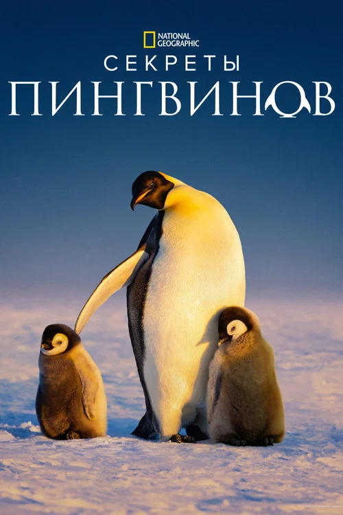 Секреты пингвинов постер