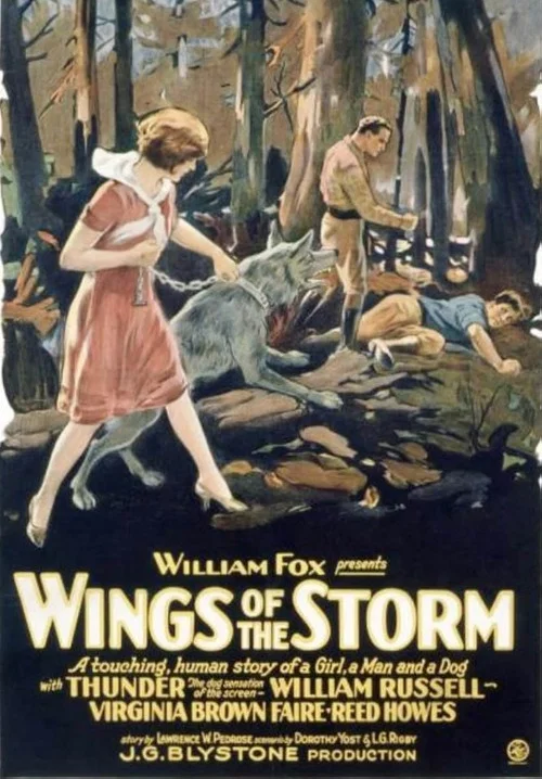 Wings of the Storm постер