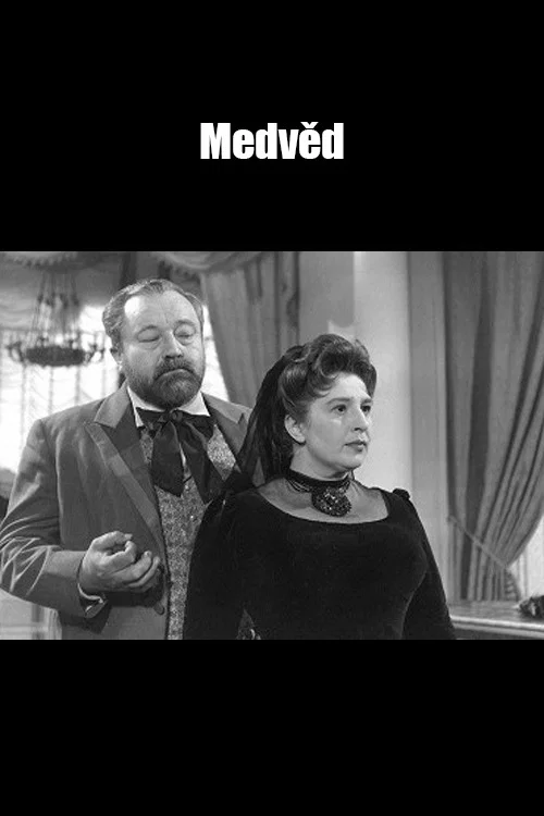 Medvěd постер