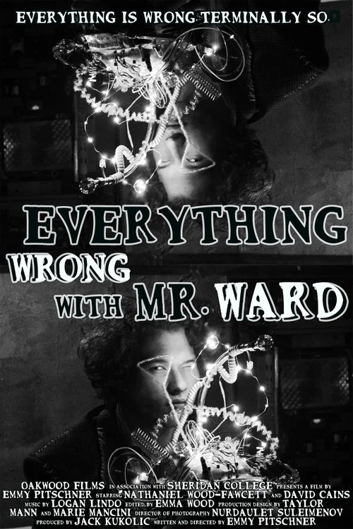 Everything Wrong with Mr. Ward постер