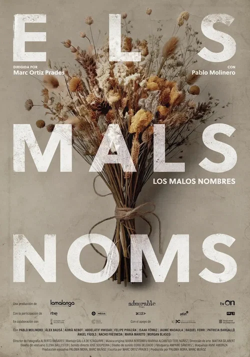 Els mals noms постер
